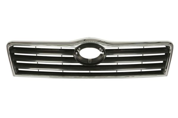 Radiator Grille (In front)  Art. 6502078161990P