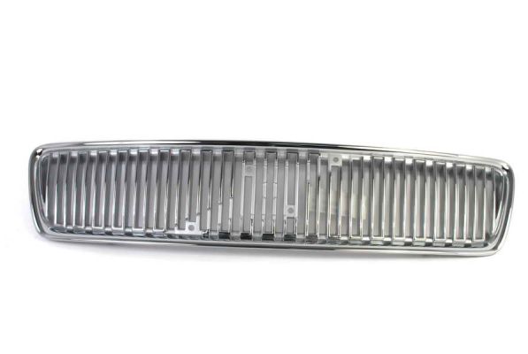 Radiator Grille (In front)  Art. 6502079008990P