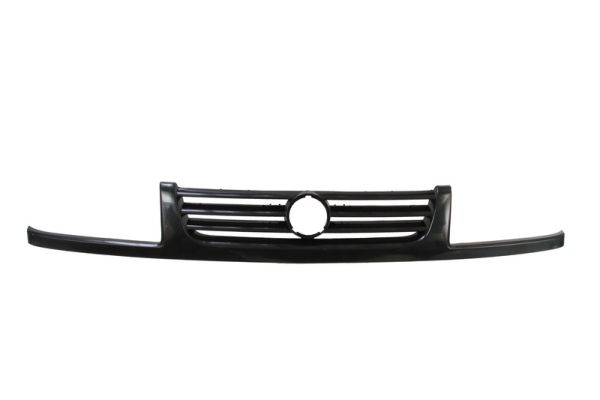 Radiator Grille (In front)  Art. 6502079542991P