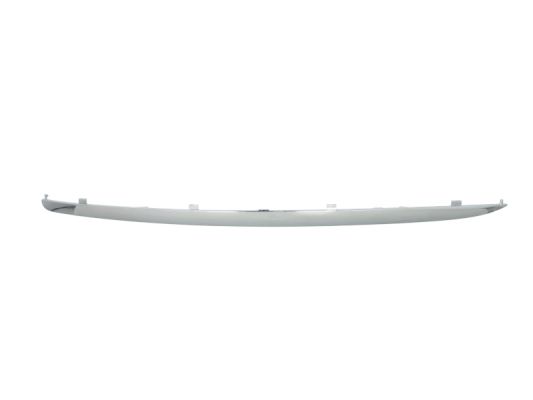 Trim/Protection Strip, bumper (Forward, left)  Art. 6502079544923P