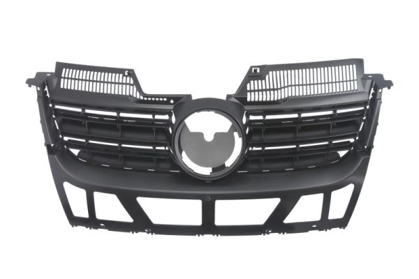 Radiator Grille (In front)  Art. 6502079544995P