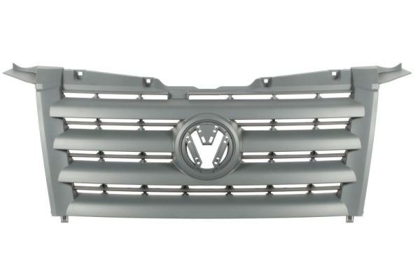 Radiator Grille (In front)  Art. 6502079564990P