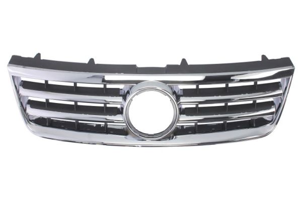 Radiator Grille (Chrome/black)  Art. 6502079585990P