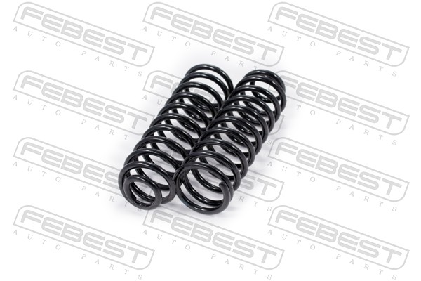 Suspension Set, springs (Rear axle)  Art. 2308002RKIT