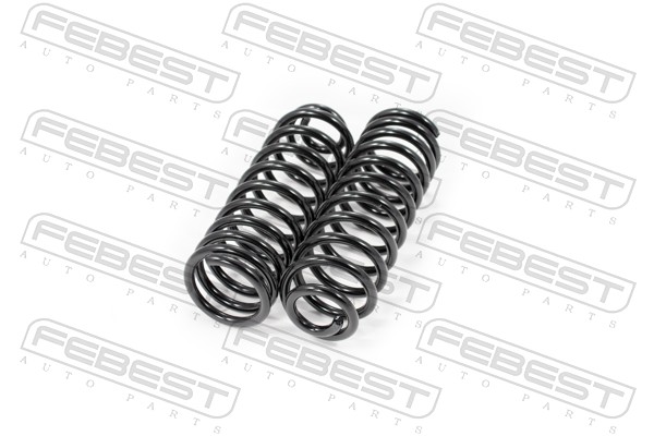 Suspension Set, springs (Rear axle)  Art. 2308016RKIT