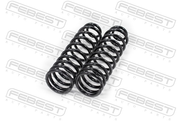 Suspension Set, springs (Rear axle)  Art. 2308018RKIT