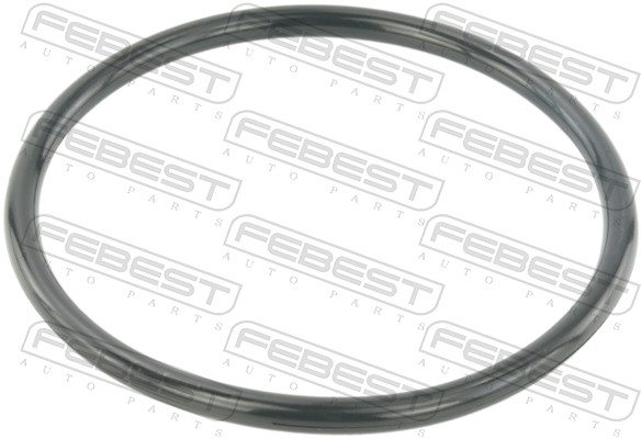 Gasket, throttle body  Art. RINGAH034