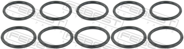 Gasket, coolant flange  Art. RINGWH018PCS10