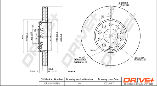 Brake Disc  Art. DP1010110599