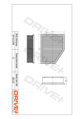 Air Filter  Art. DP1110100796