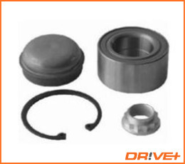 Wheel Bearing Kit  Art. DP2010100150