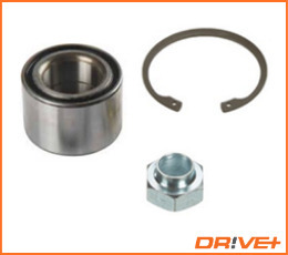 Wheel Bearing Kit  Art. DP2010100171