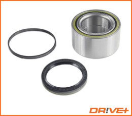 Wheel Bearing Kit  Art. DP2010100173