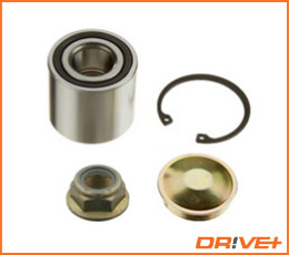 Wheel Bearing Kit  Art. DP2010100205