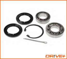 Wheel Bearing Kit  Art. DP2010100207