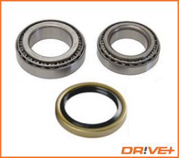 Wheel Bearing Kit  Art. DP2010100276