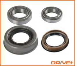 Wheel Bearing Kit  Art. DP2010100514