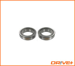 Wheel Bearing Kit  Art. DP2010100620