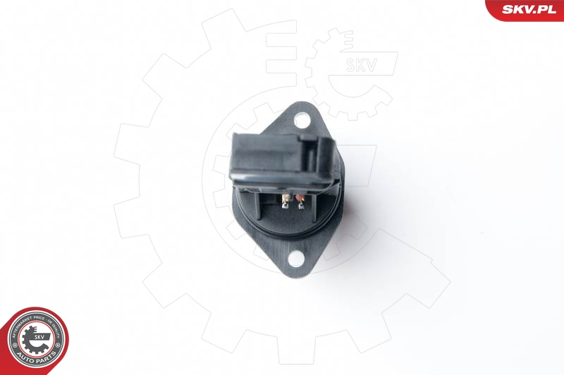 Mass Air Flow Sensor  Art. 07SKV505