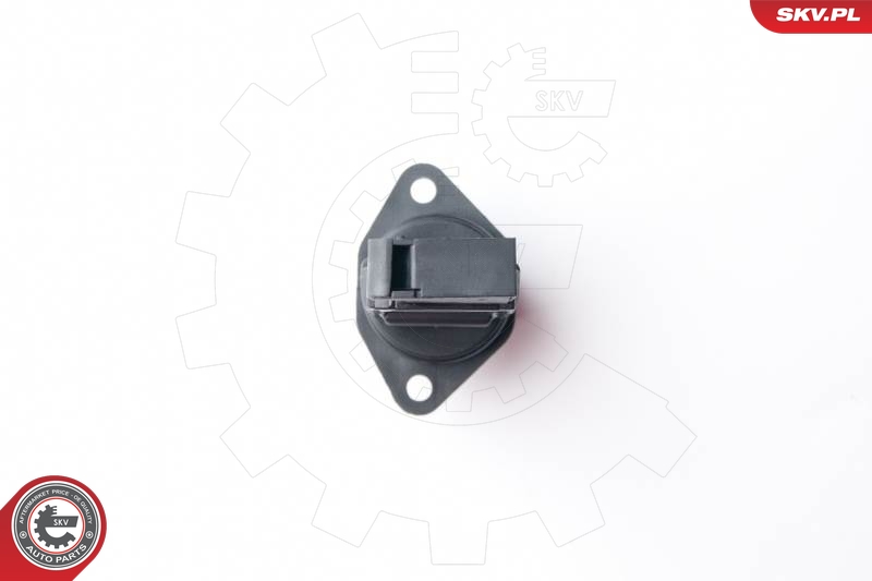 Mass Air Flow Sensor  Art. 07SKV507