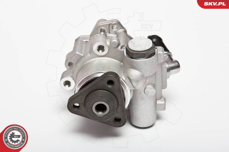 Hydraulic Pump, steering  Art. 10SKV015