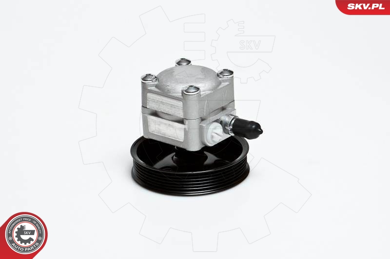 Hydraulic Pump, steering  Art. 10SKV027