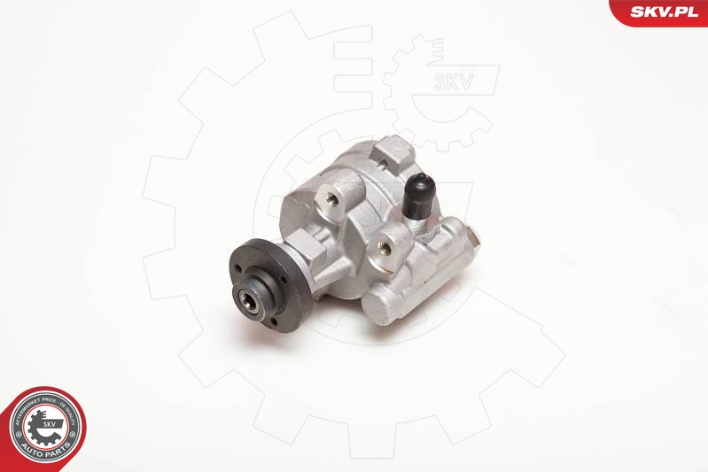 Hydraulic Pump, steering  Art. 10SKV054