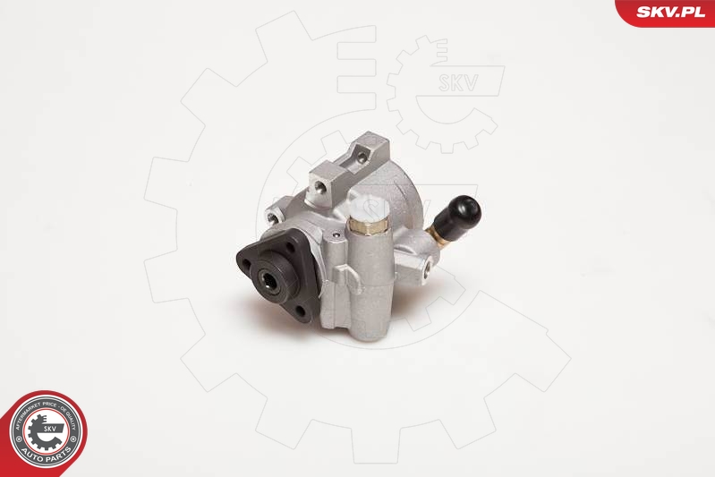 Hydraulic Pump, steering  Art. 10SKV055