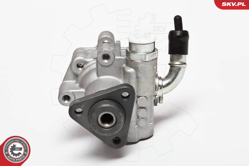 Hydraulic Pump, steering  Art. 10SKV075