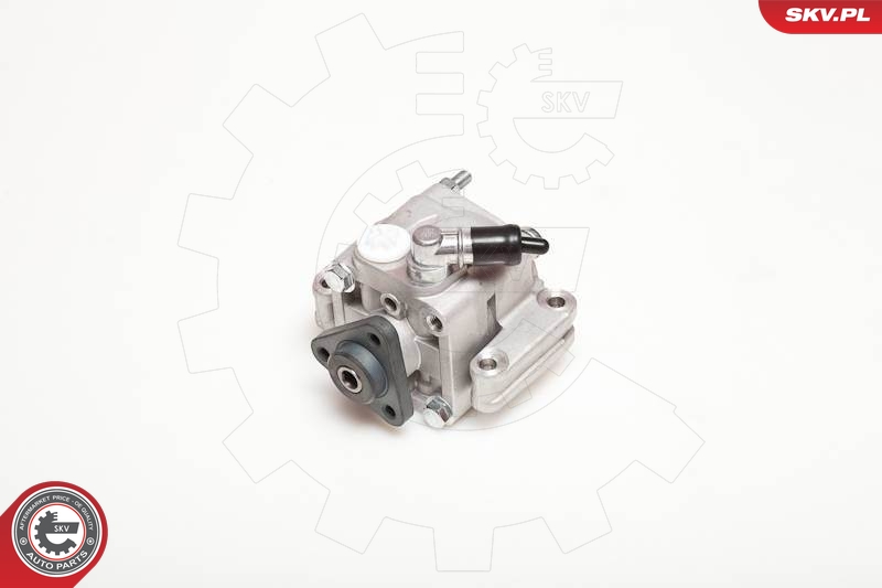 Hydraulic Pump, steering  Art. 10SKV088