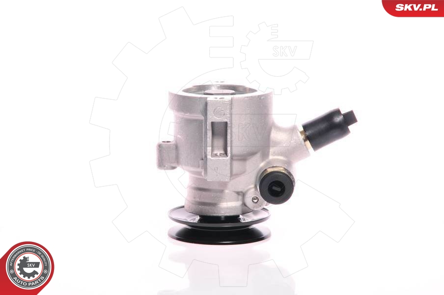 Hydraulic Pump, steering  Art. 10SKV118