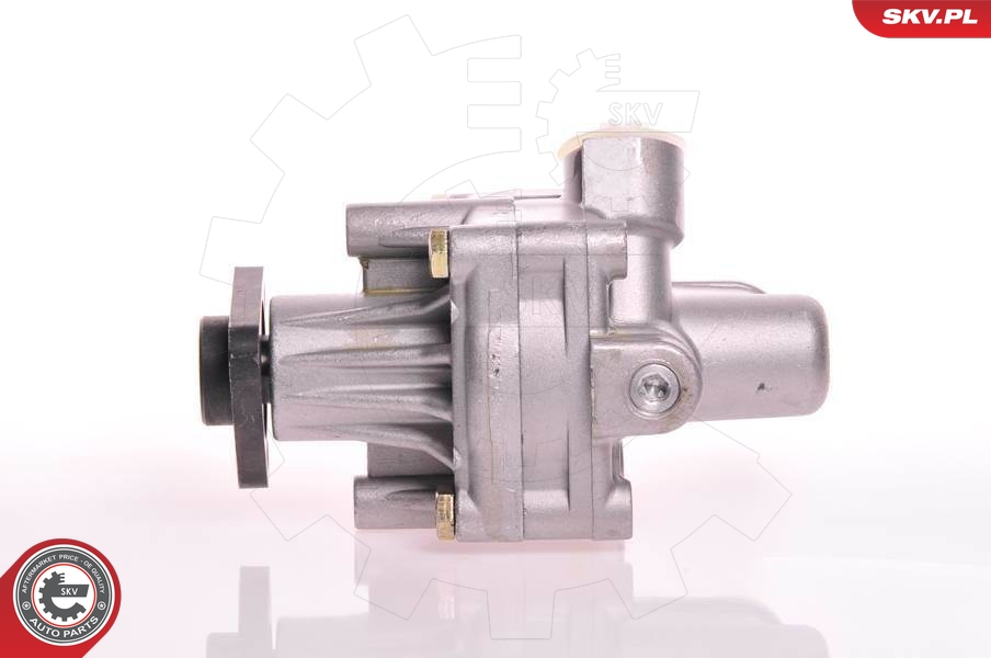 Hydraulic Pump, steering  Art. 10SKV125