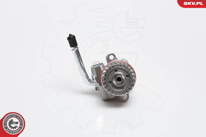 Hydraulic Pump, steering  Art. 10SKV136