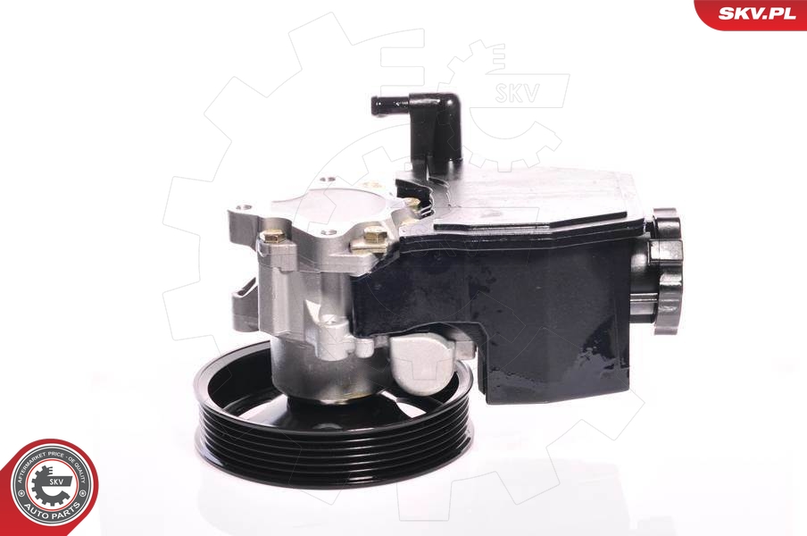 Hydraulic Pump, steering  Art. 10SKV139