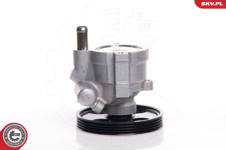 Hydraulic Pump, steering  Art. 10SKV146