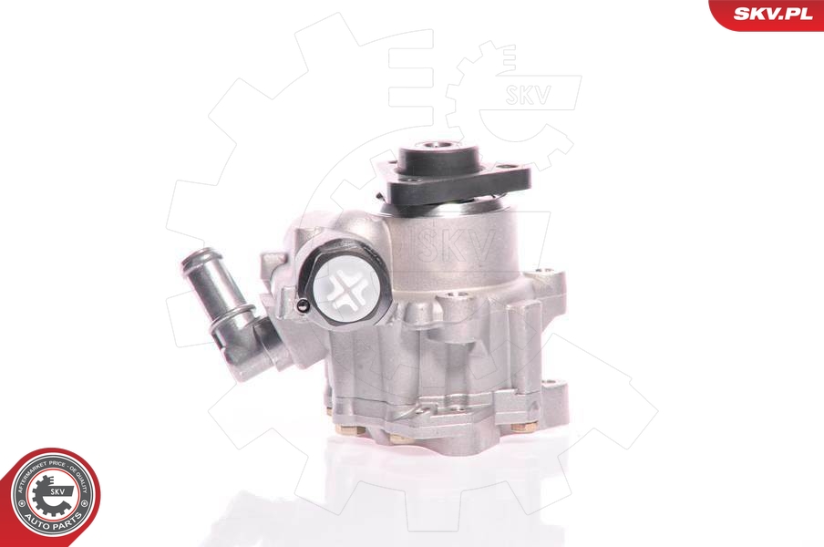 Hydraulic Pump, steering  Art. 10SKV161