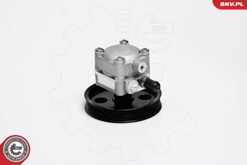 Hydraulic Pump, steering  Art. 10SKV176