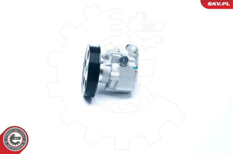 Hydraulic Pump, steering  Art. 10SKV183