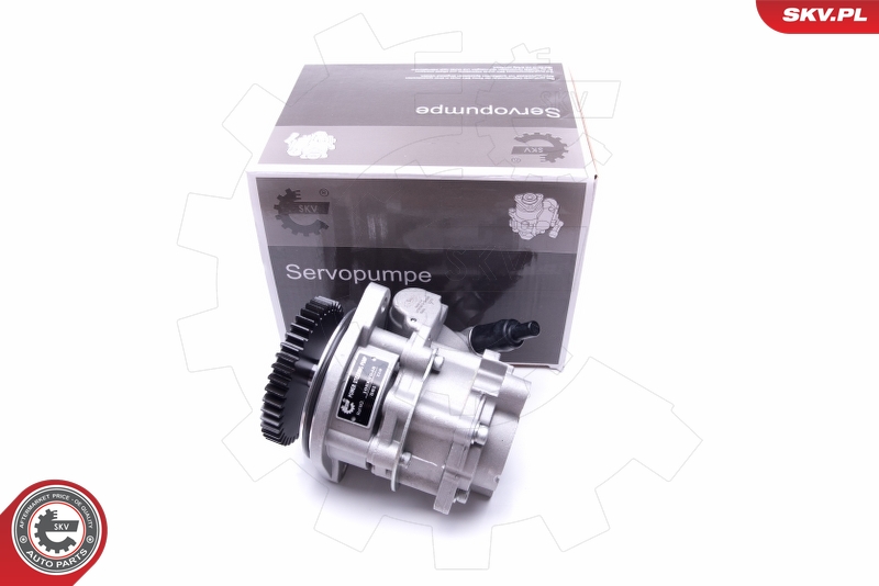 Hydraulic Pump, steering  Art. 10SKV289