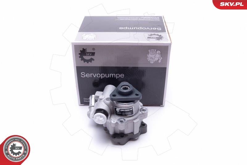 Hydraulic Pump, steering  Art. 10SKV305