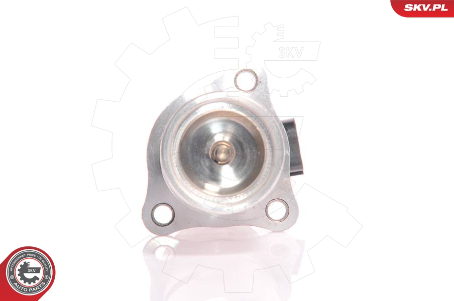 EGR Valve (With gaskets)  Art. 14SKV010