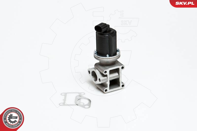 EGR Valve (Solenoid valve)  Art. 14SKV012