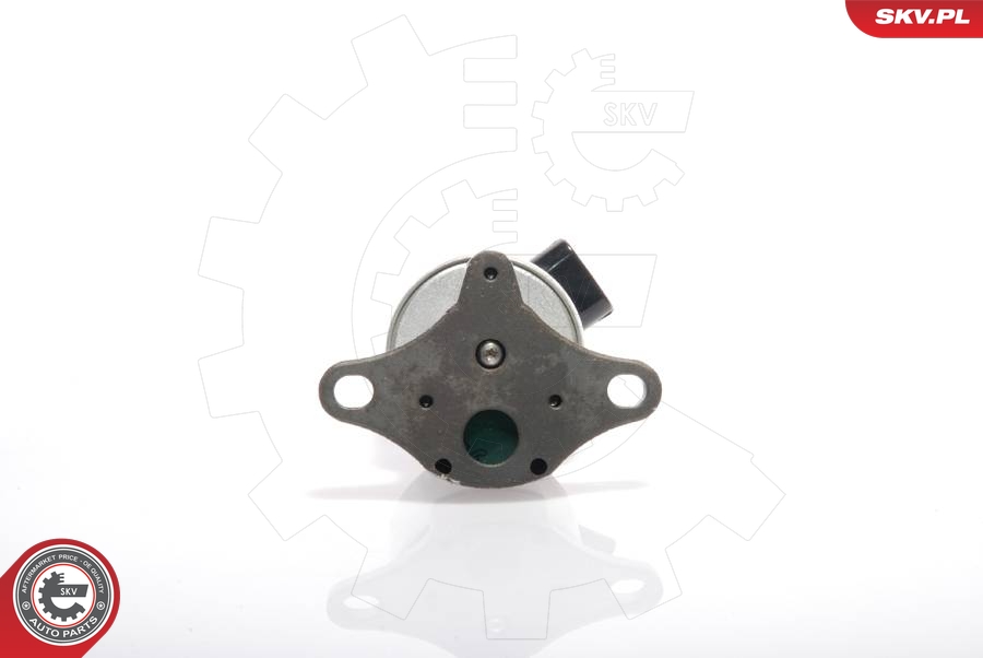 EGR Valve (Electric)  Art. 14SKV017