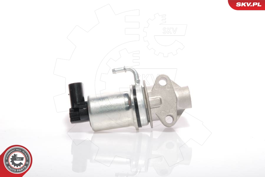 EGR Valve (Solenoid valve)  Art. 14SKV018