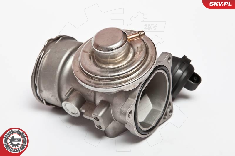 EGR Valve (555086)  Art. 14SKV024