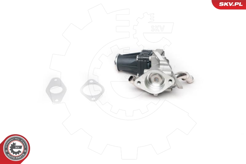 EGR Valve (5)  Art. 14SKV100