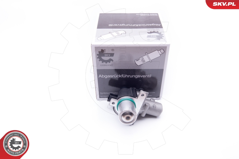 EGR Valve (Electric)  Art. 14SKV163