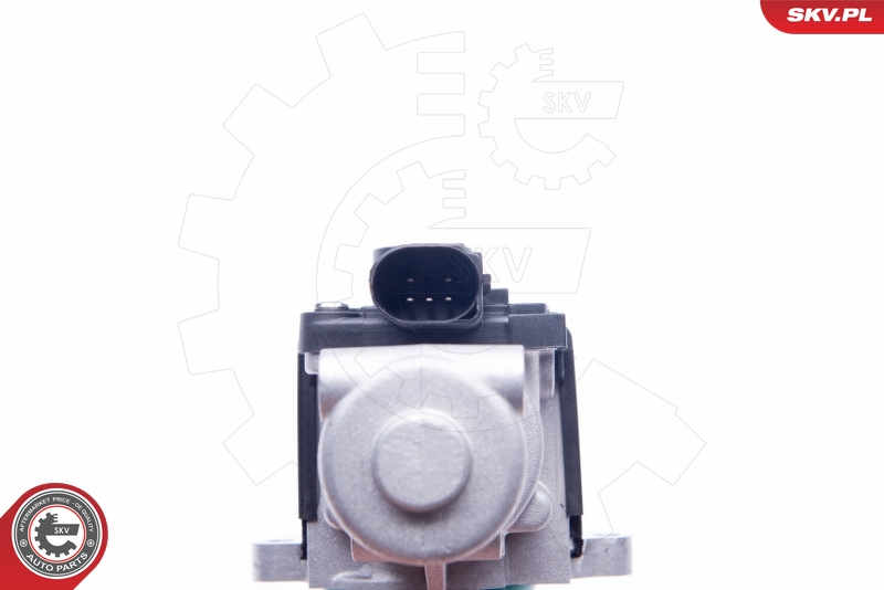 EGR Valve (5)  Art. 14SKV164