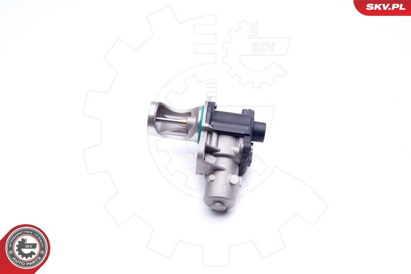 EGR Valve (Electric)  Art. 14SKV172