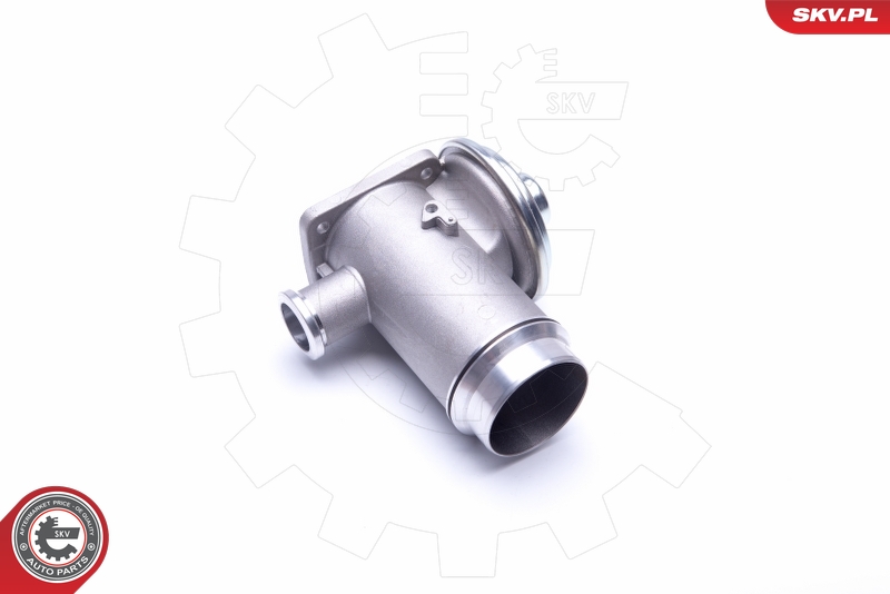 EGR Valve (Pneumatic)  Art. 14SKV175